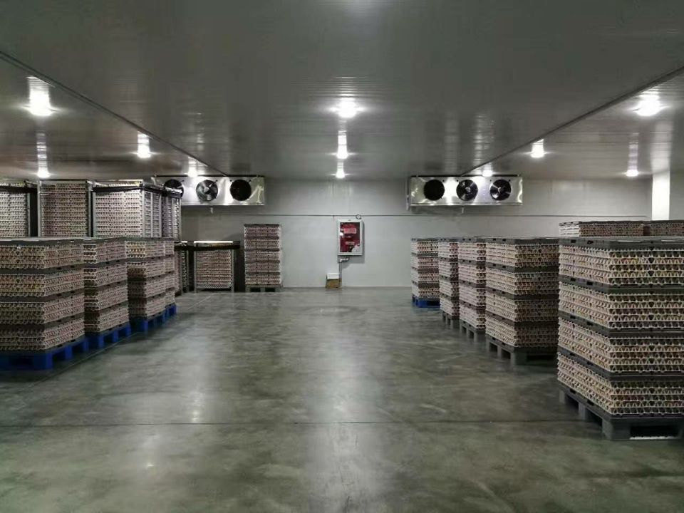 食品冷庫的庫內實拍圖 食品冷庫的庫內實拍圖