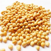 鮮黃豆冷庫(kù)設(shè)計(jì)安裝造價(jià)，冷庫(kù)保鮮溫度是多少
