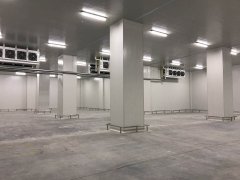 600噸香蕉保鮮冷庫報價，貯藏技術(shù)