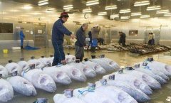 占地4000平高5米海鮮冷庫(kù)安裝需要多少錢？