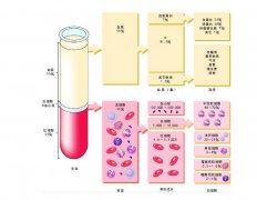 -30℃～-80℃血漿蛋白低溫冷凍庫規范，冷庫安裝價格