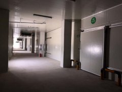 3000平米的食品多溫型冷庫哪些因素影響建造費用？