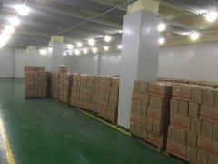 建500噸凍肉冷凍冷庫投資，占地面積多少