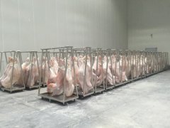 拼裝式冷庫建造工程造價，-18℃豬肉冷凍庫設備