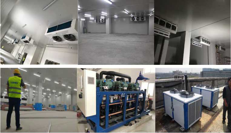 http://m.amrp.com.cn/gongchenganli/shipin/1230.html